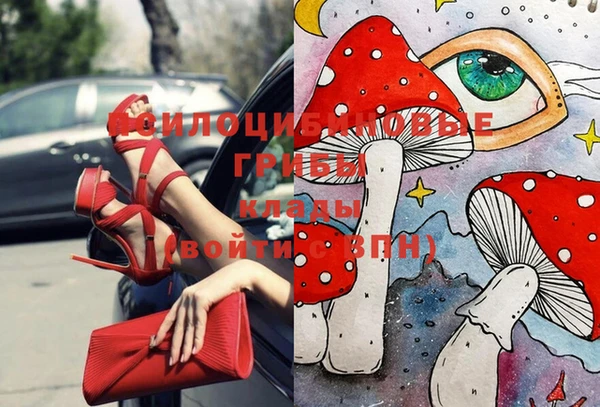 ECSTASY Баксан