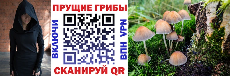 Псилоцибиновые грибы GOLDEN TEACHER  Нерюнгри 